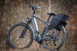E-Bike Kalkhoff Endeavour 5.B Advance+ L