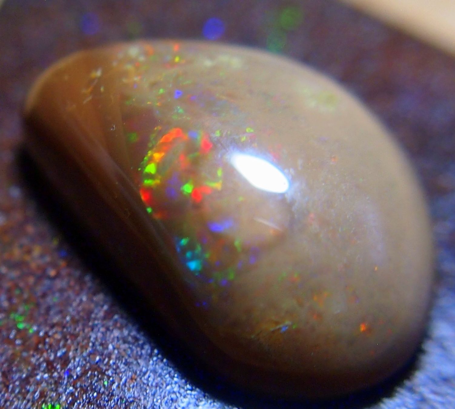Pietre preziose: Faszinierender Opal aus Mexico – Nuovo e nell'imballaggio originale da Reinach BL venduto da rumablum 6