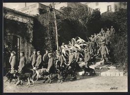 Fotografie 1. WK, Deutsche Meldehunde-Ab