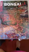 Bonsai Art Ausgabe 1-140