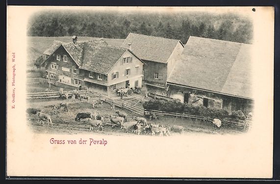 Cartes postales: Wald /ZH, Povalp, Bauernhäuser und Küh – D'occasion à Berlin par bartko-reher