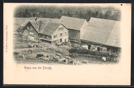 Wald /ZH, Povalp, Bauernhäuser und Küh