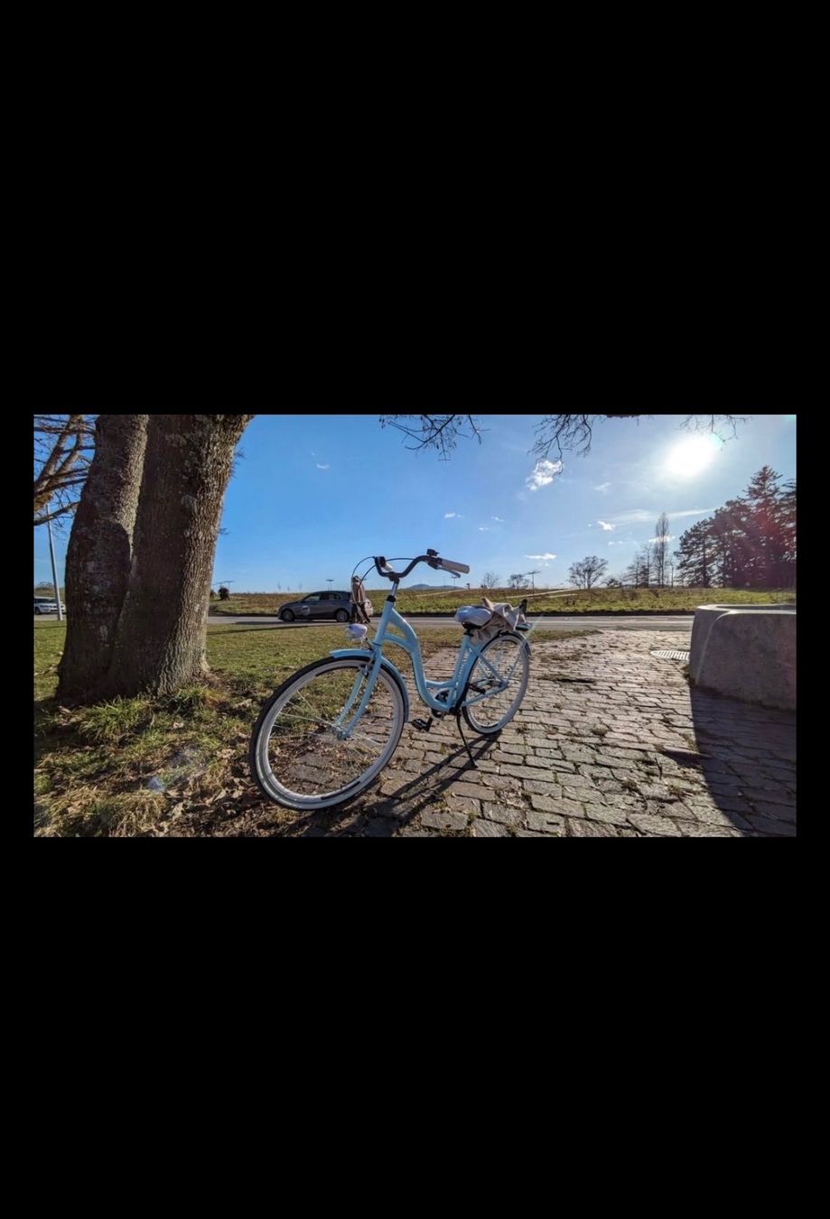 Biciclette: Velo Damen City Bike – Usato da Fislisbach venduto da nat_c2dy 2