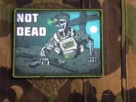 Schweiz Abzeichen Badge Patch Skull Totenkopf TAZ 90 Armee