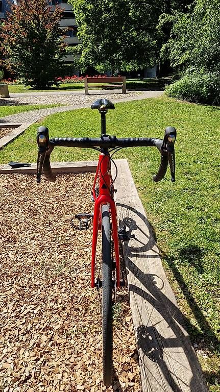 Canyon Biciclette: Canyon Endurace 8.0 AL – Usato da Le Grand-Saconnex venduto da arkanoid555 2