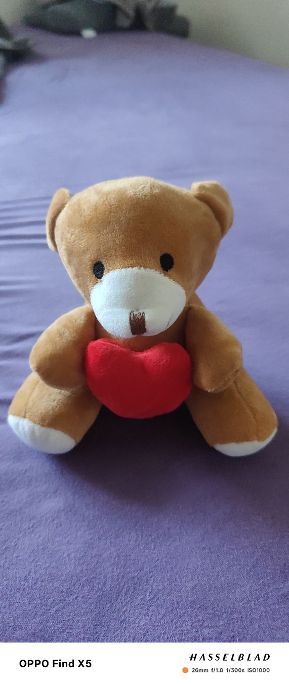 Spielzeuge: Smile Teddy mit Herz – Gebraucht aus Unterentfelden von igs_nj72 1