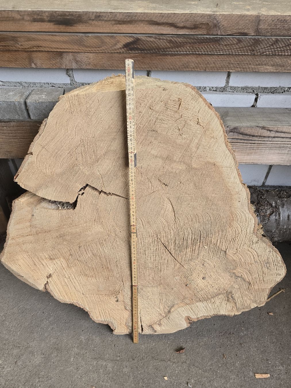 Articles en bois: Eschen Baumscheibe – Neuf (Voir description) à Ramsei par Waelchris 2