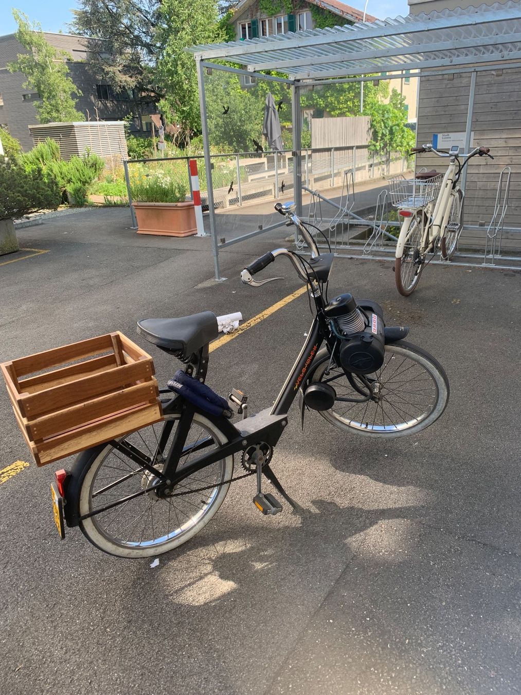 Mofas: Solex 3800 – Gebraucht aus Luzern von 10sepp1 1