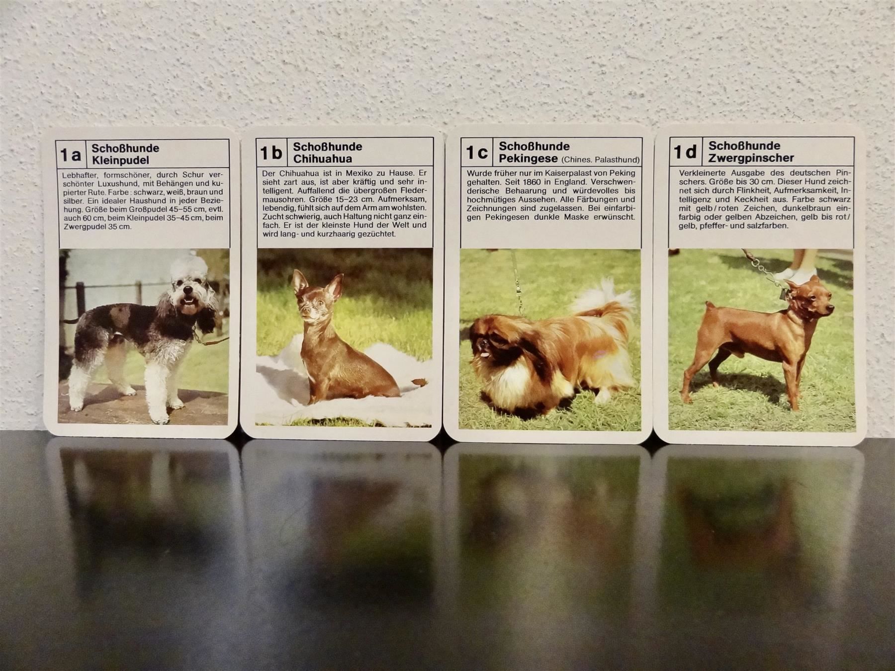 Spiele: altes Quartett TIER-QUARTETT HUNDE HUND – Gebraucht aus Kerzers von wisaundso 3