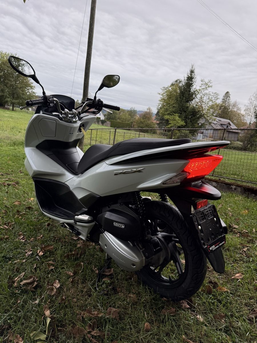 Honda Scooter: HONDA PCX 125 CC – Usato da Winterthur venduto da Fabio_46 4