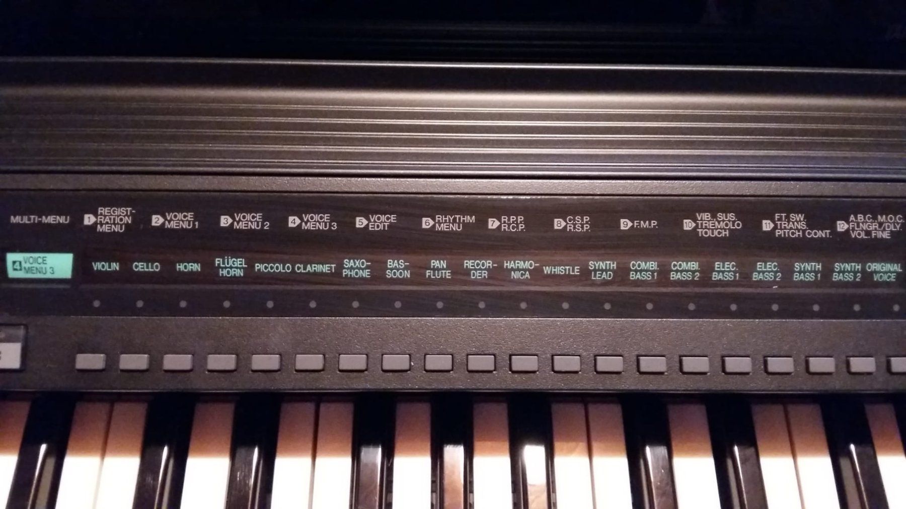 Yamaha Musikinstrumente: Yamaha Orgel mit Notenheften – Gebraucht aus Romanshorn von Ylea0 1