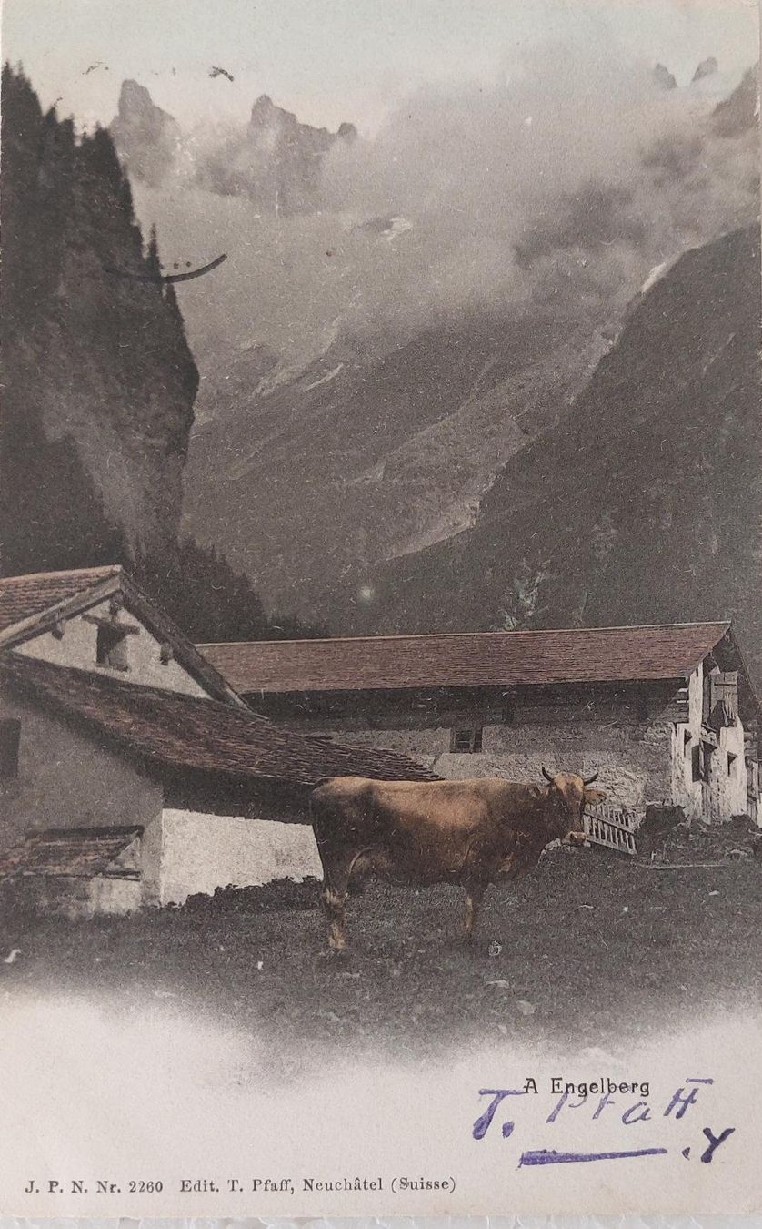 Cartoline postali: ENGELBERG – Usato da Delémont venduto da Domdom1