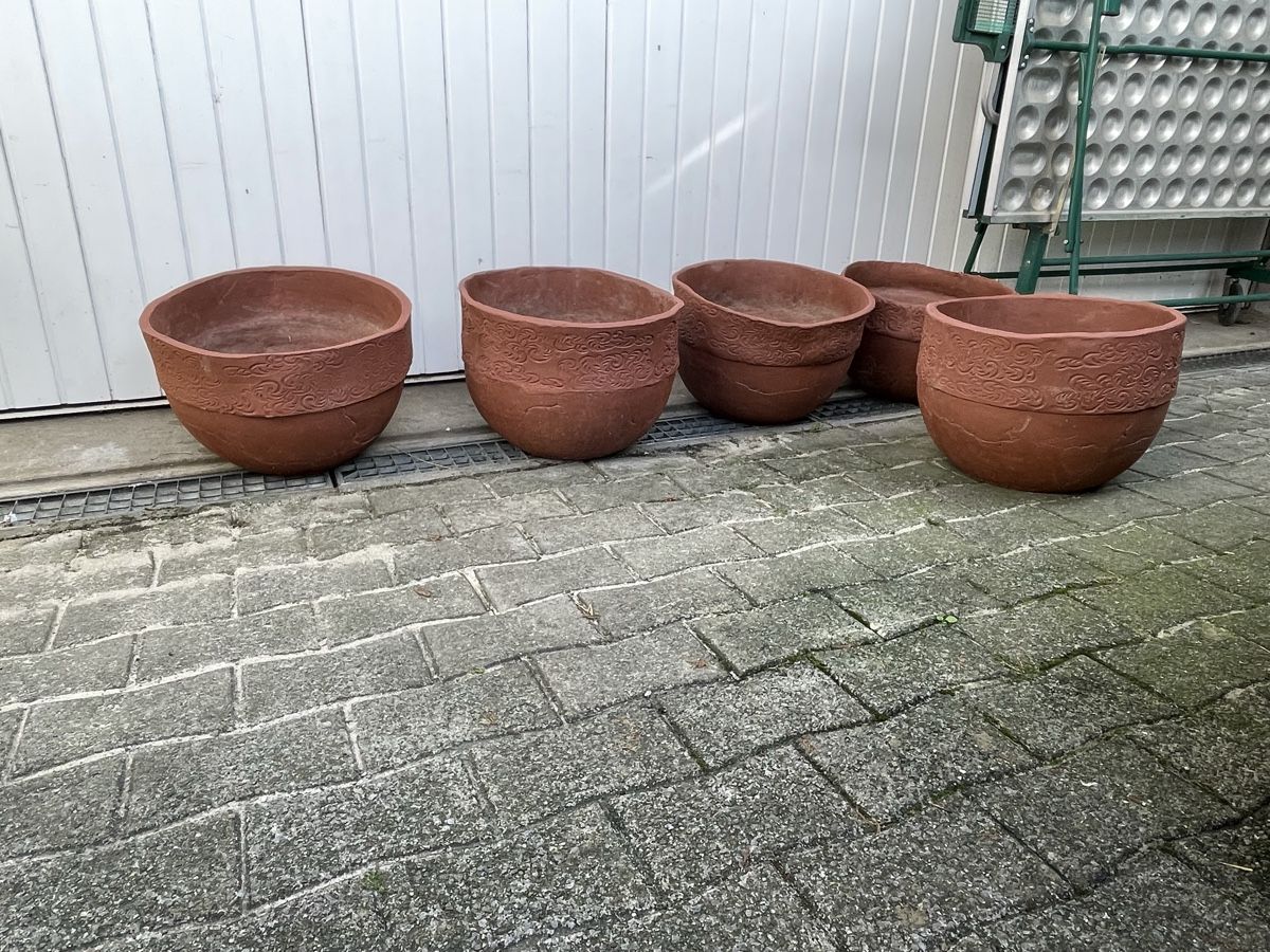 Blumentöpfe: Handgetöpferte Grosse Blumen Töpfe 5x – Gebraucht aus Niederbüren von poschti 9