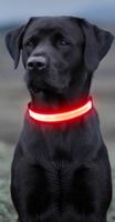 LED Hunde-Halsband, per USB aufladbar Gr. L (fabrikneu)