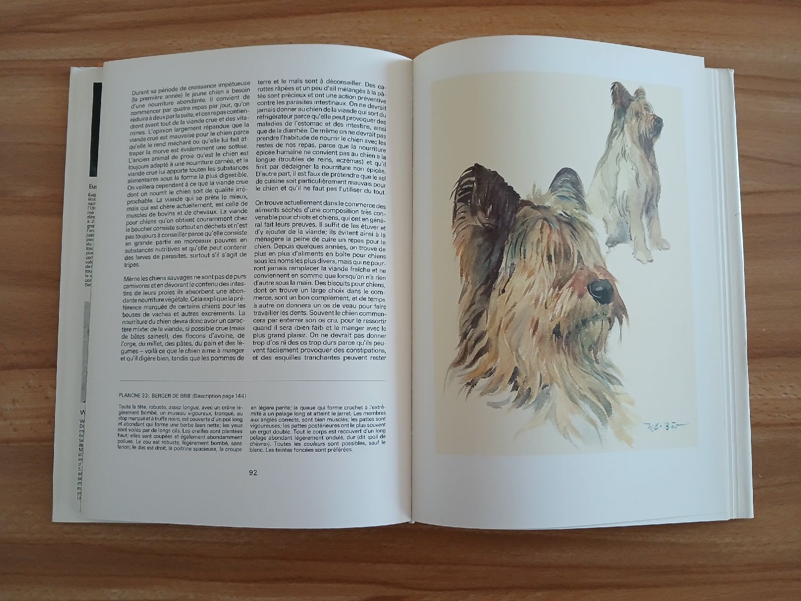 Libri: Nos chiens – Usato da Le Sentier venduto da arc_2thy 6