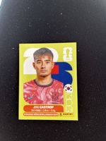Panini KOR 15