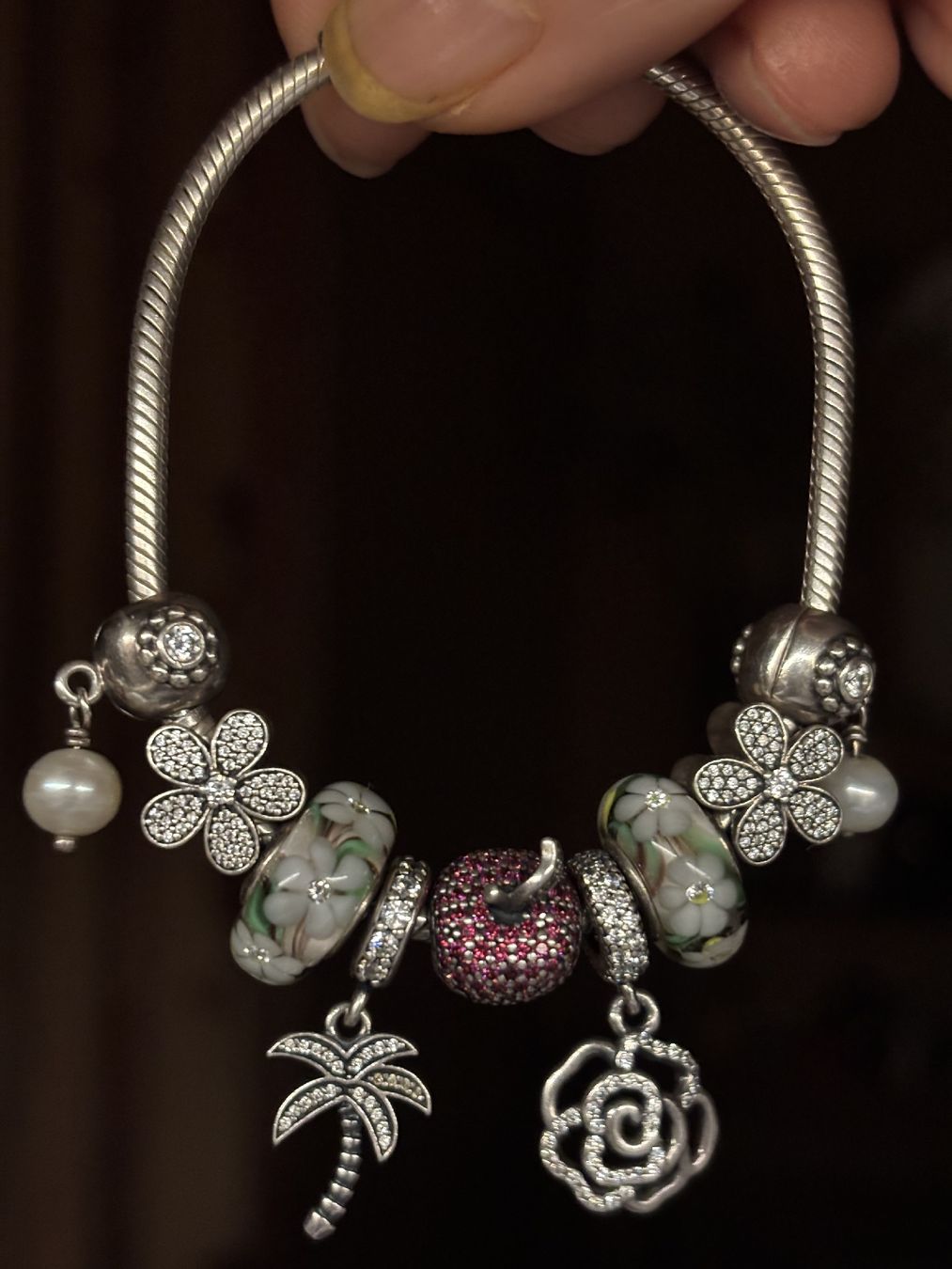 Pandora Armbänder & -reifen: Pandora Silber Armkette – Gebraucht aus Gelterkinden von Regiorider