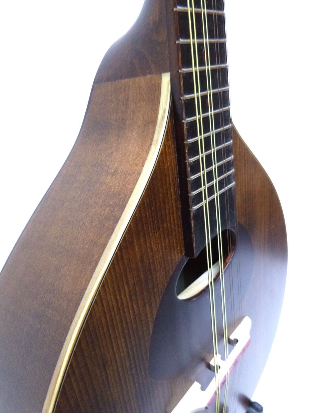 Strumenti musicali: PRO ARTE Portugiesische Mandoline – Nuovo e nell'imballaggio originale da Schaffhausen venduto da Saitensprung_SH 2