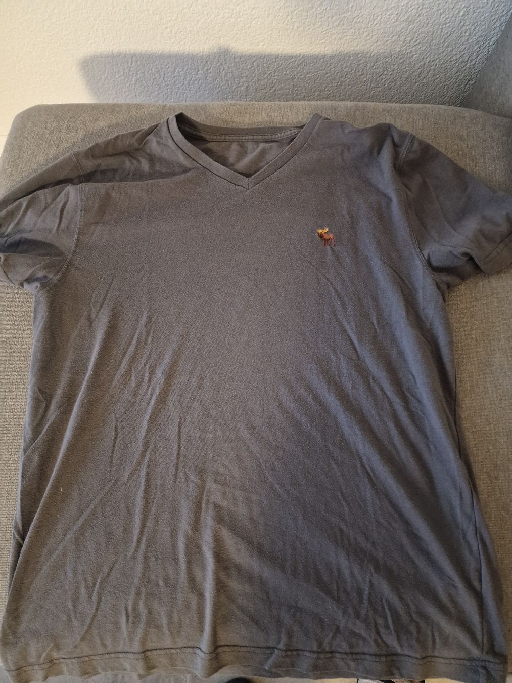 Abercrombie T-shirt: T-Shirt Abercrombie – Usato da Winterthur venduto da Winti1993 3