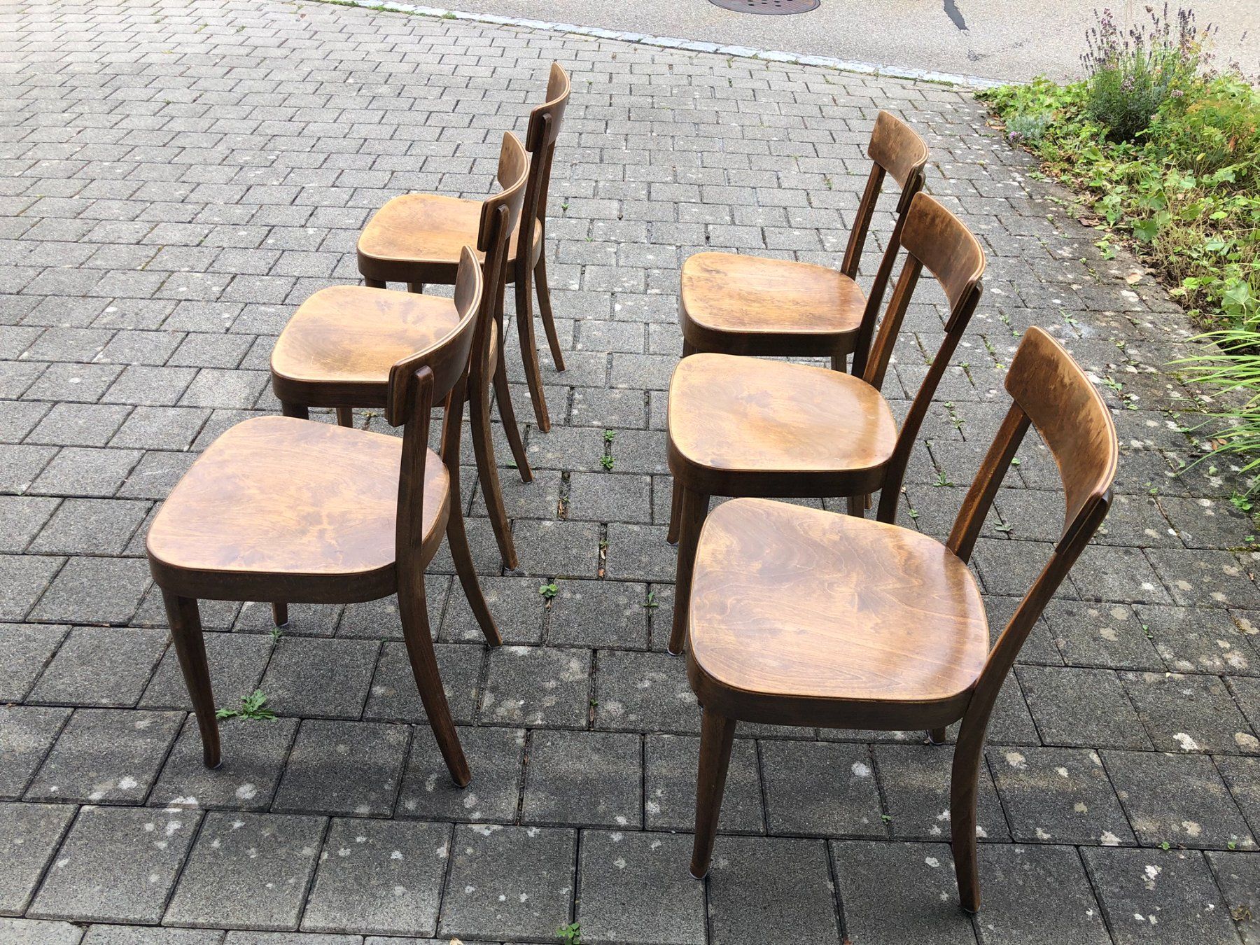 Horgen Glarus Stühle: Horgen Glarus Beizenstühle (6 Stück) – Gebraucht aus Wetzikon ZH von mih_s7q5 2