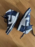 Nike Dunk High