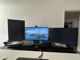 DELL P2423 - Monitor (drehbar)