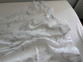 Rideau - 260 x 144 cm