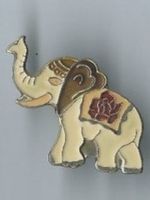 Elefant, PIN