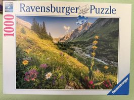 Puzzle 1000