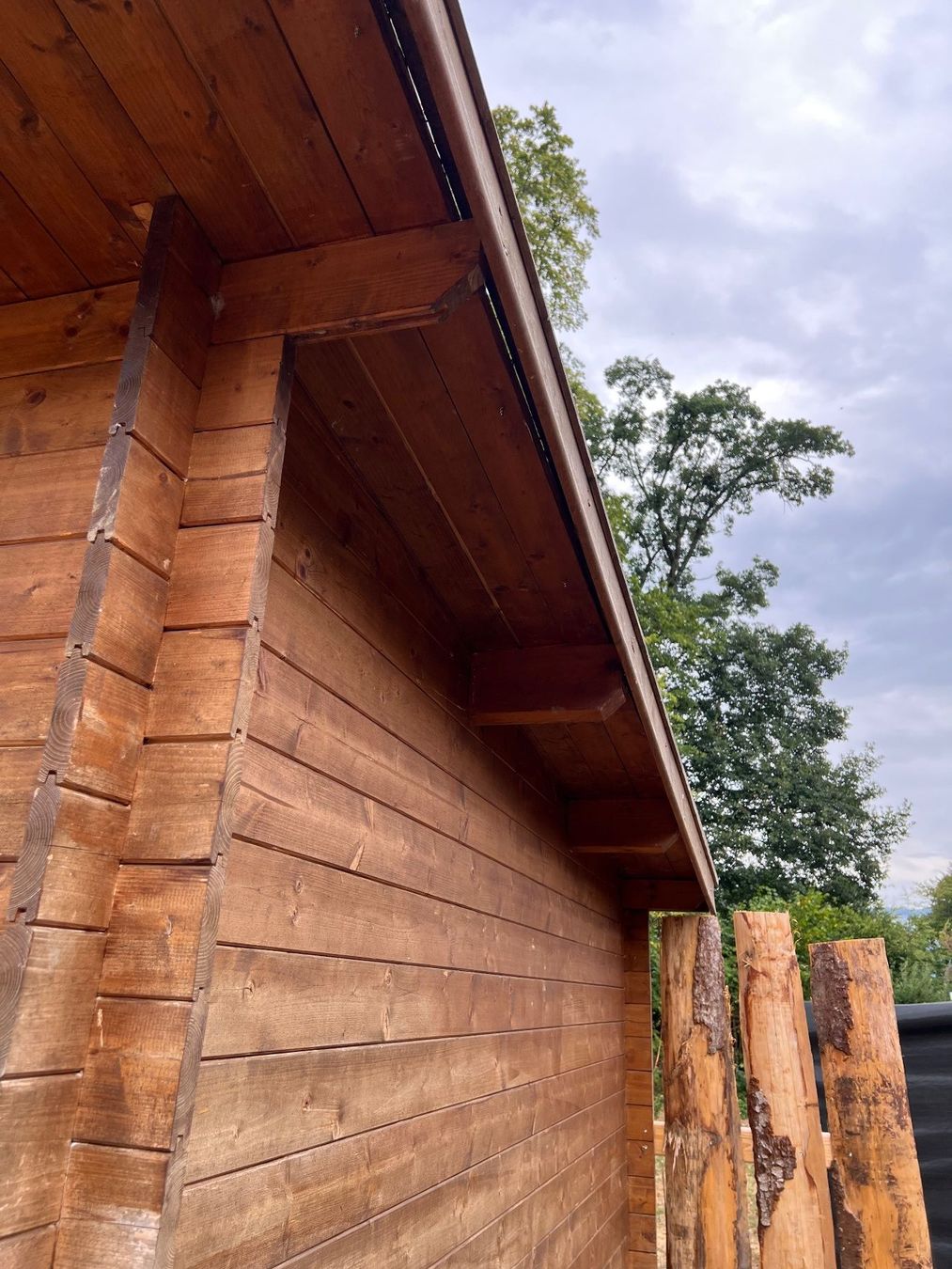 Cabanes de jardin & serres: Gartenhaus / Holzhaus – D'occasion à Wangen an der Aare par TBYN 3