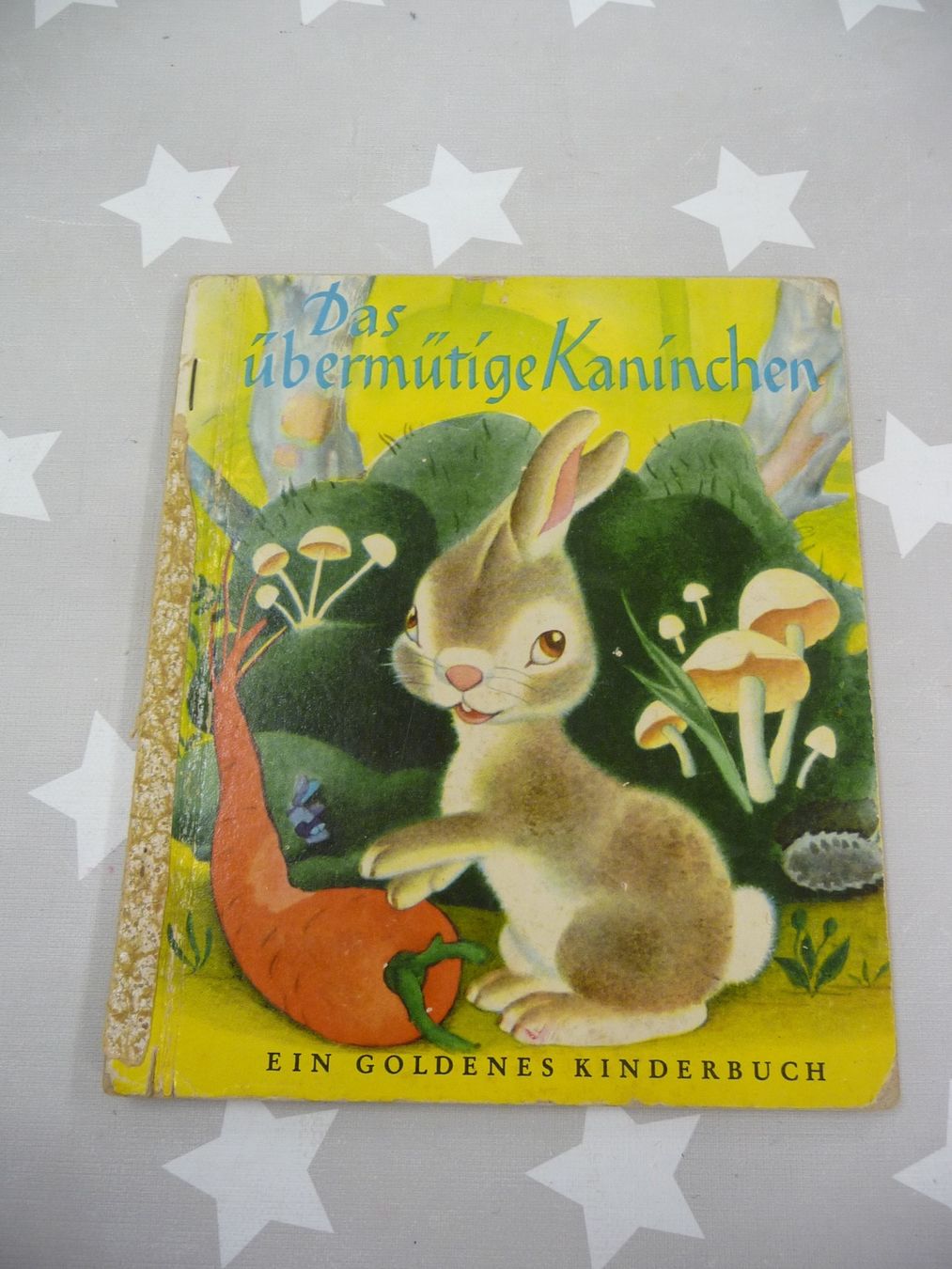 Libri: Buch: Das übermütige Kaninchen – Usato da Rafz venduto da Powacaddy