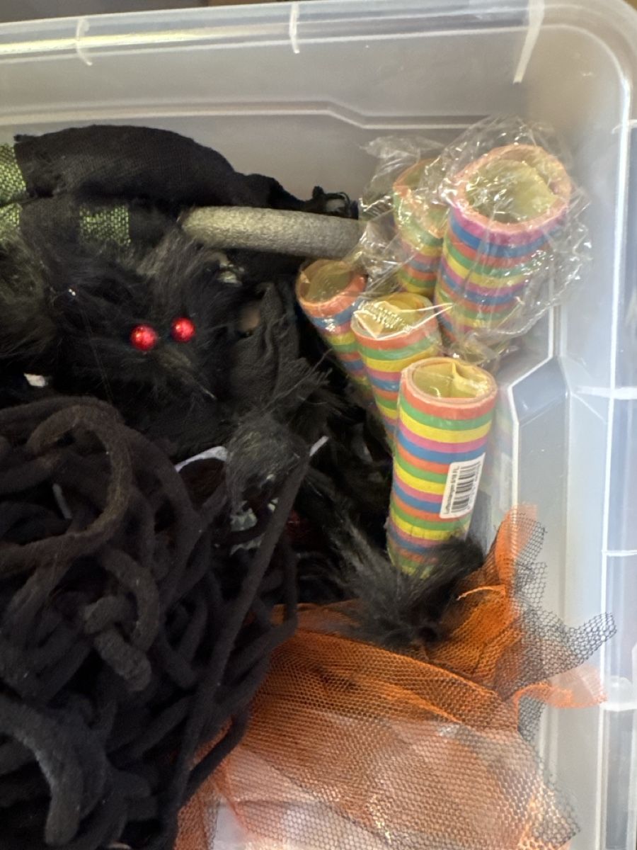 Alle Dekorationen: Halloween/ Fasnachtsdeko Set  – Gebraucht aus Wangen SZ von ang_vcw8 1