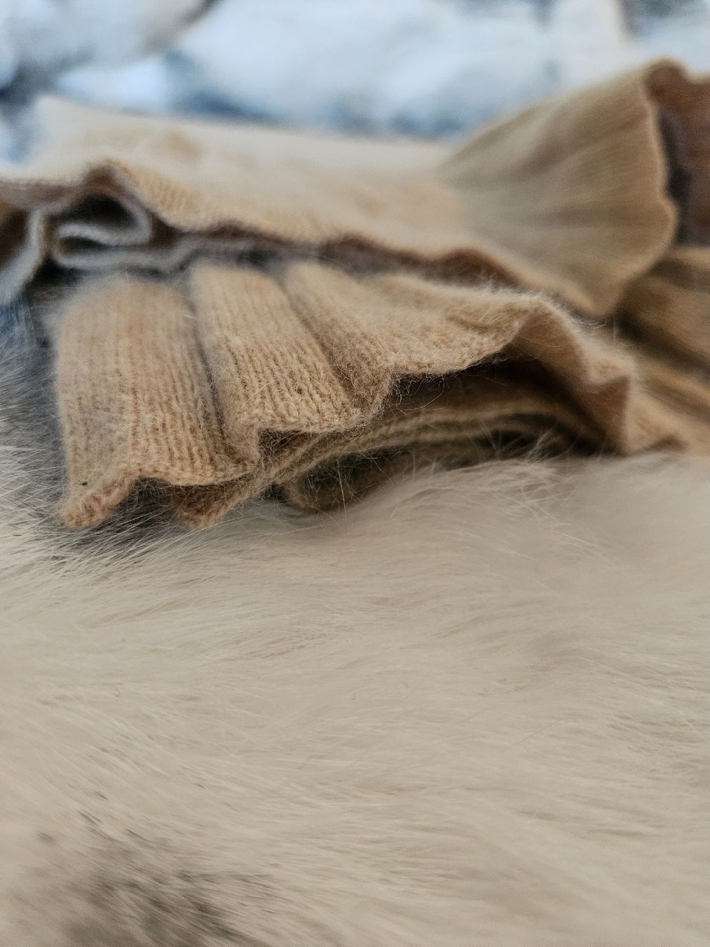 Foulards, Tücher & Schals: Modissa Schal Camel | Lammwolle & Angora | Edel-Strick – Neu (gemäss Beschreibung) aus Zug von Moonlover 4