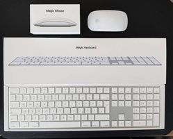 Apple Magic Keyboard und Magic Mouse - neuwertig
