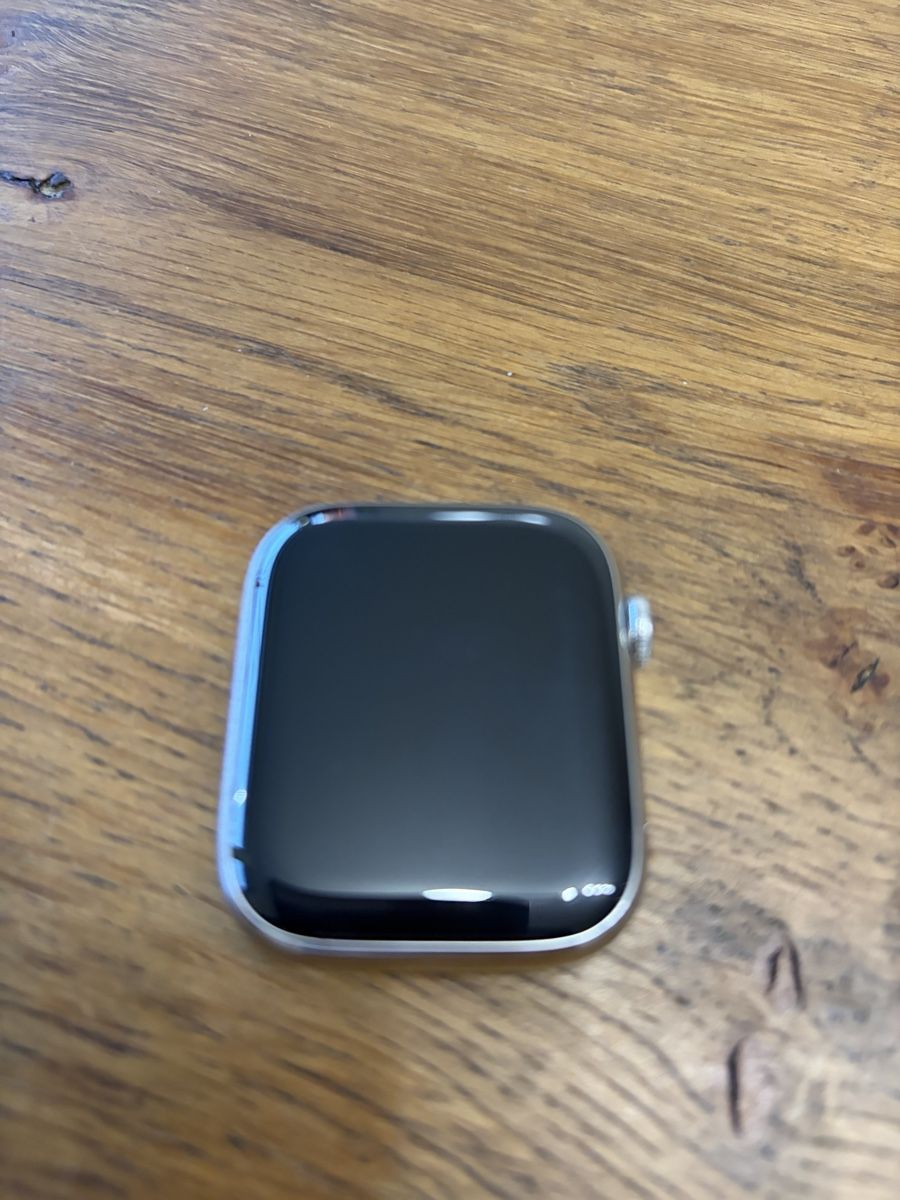 Apple Smartwatch: Apple Watch Series 9 45mm Edelstahl – Usato da Zürich venduto da Atze1978 4