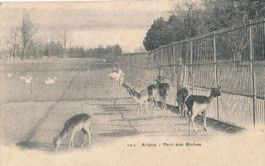 Genève - Ariana - Parc aux Biches + c1900