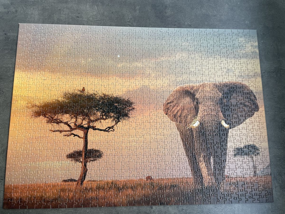 Ravensburger Puzzle: Ravensburger Puzzle, 1000 Teile - Afrika – Usato da Neuenkirch venduto da balani 1