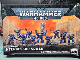 Warhammer 40k neue Interrcessor Squad Space Marines