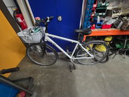 Velo