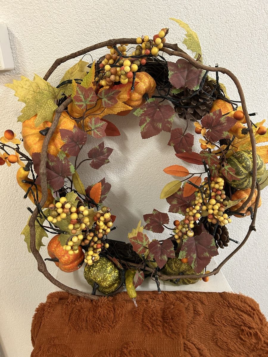 Tutte le decorazioni: Lot de décoration d’automne – Usato da Perroy venduto da MR6. 1