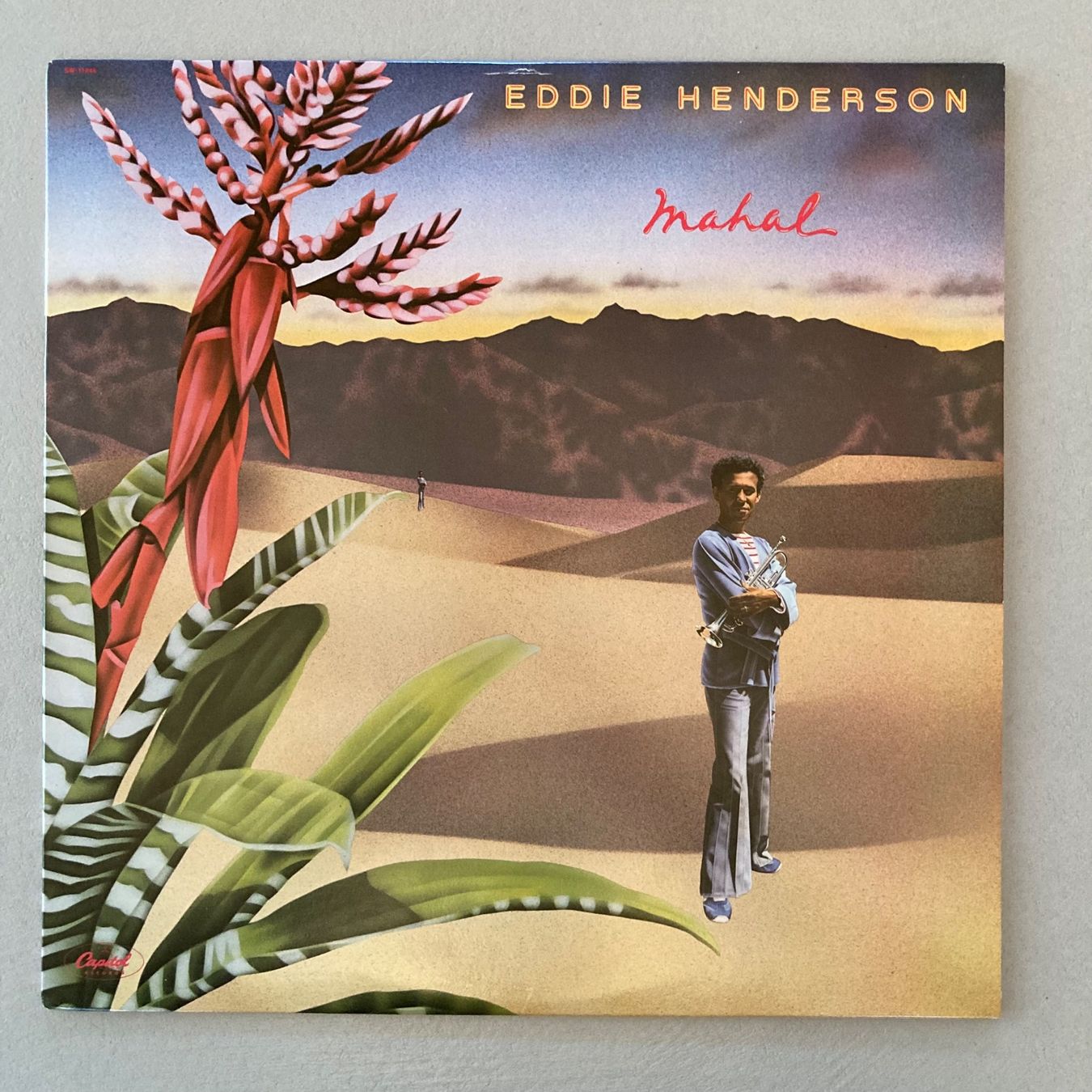 Dischi in vinile: Eddie Henderson - Mahal - LP – Usato da dachsen venduto da oheio