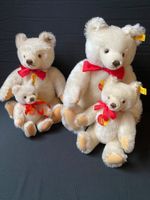 Steiff Bären Set, 4 Stück, Sammlerstücke, Sammlung...