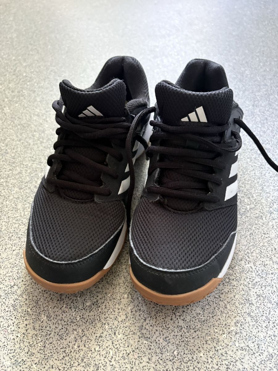 Adidas Herrenschuhe: Adidas Hallenschuhe – Neu (gemäss Beschreibung) aus Bern von SanBuser 1
