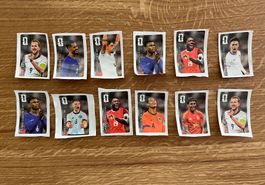 12 Panini Stickers von Coca Cola 2026