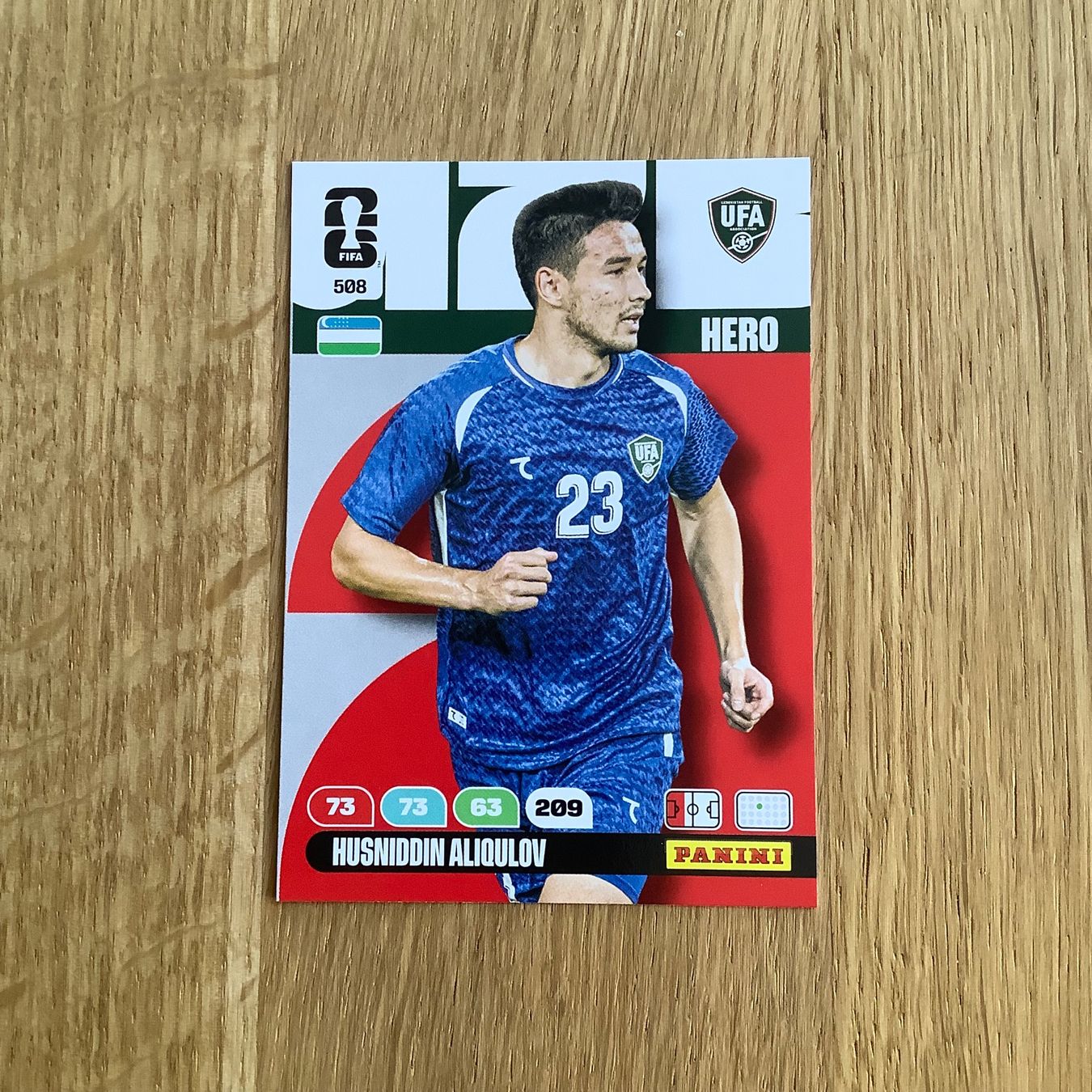 Panini Sammelbilder & Trading cards: Panini Adrenalyn XL - 508 – Neu (gemäss Beschreibung) aus Baden von AlejandroA