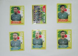 Panini FIFA World Cup 2026 Sticker Algeria Set 6 Stickers