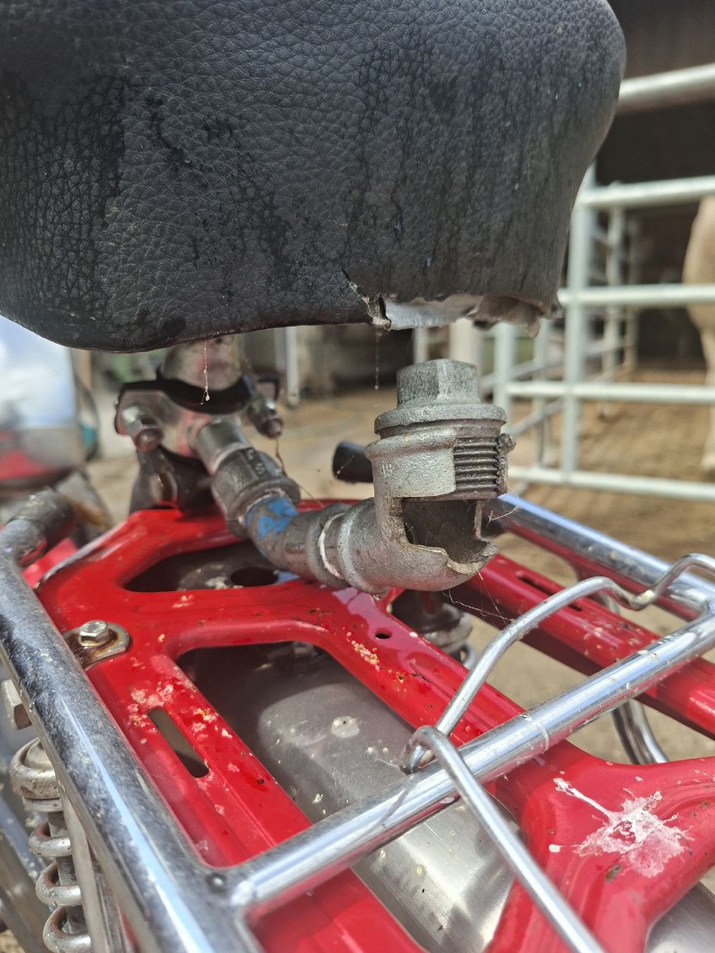 Pony Mofas: Töffli Pony Sachs – Gebraucht aus Bretzwil von AnnenHolz 7