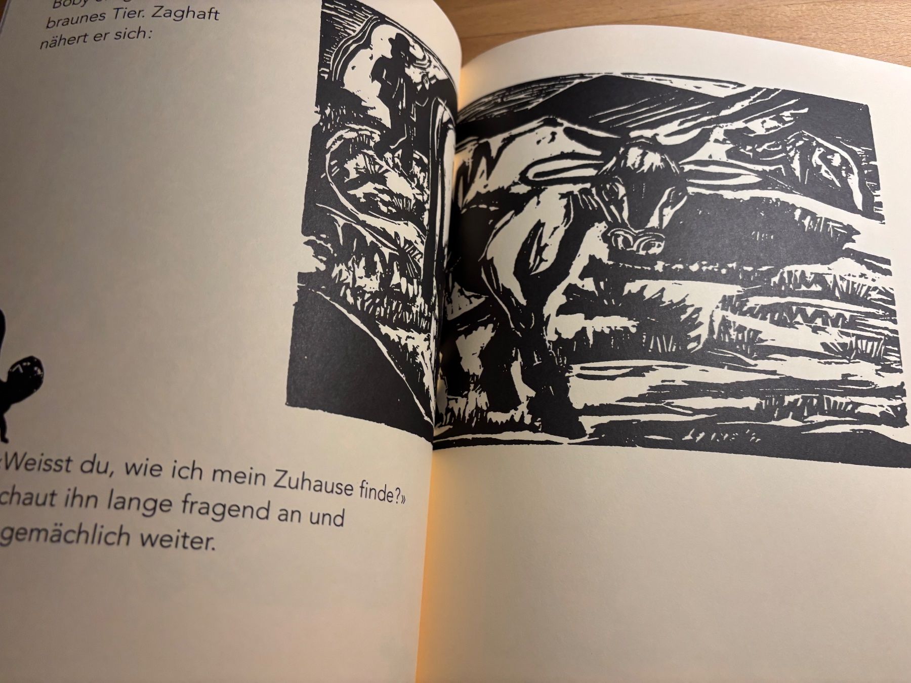Libri: Ernst Ludwig Kirchner / Kirchners Katze – Usato da Langenthal venduto da Riccardamax 5