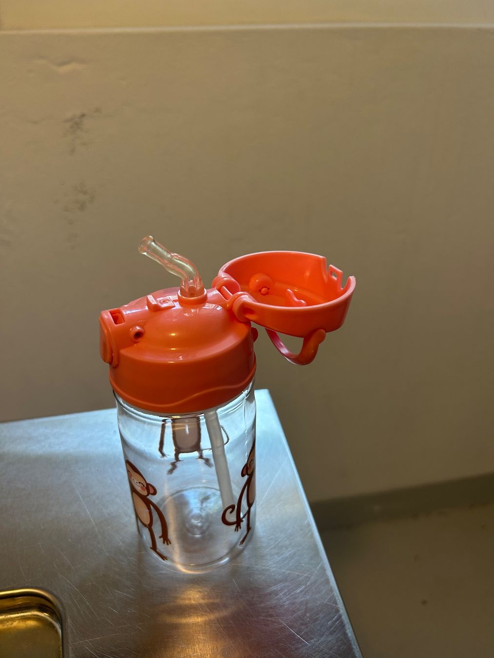 Trinkflaschen & Thermosflaschen: Trinkflasche mit Äffchen – Gebraucht aus Wabern von belka72 3