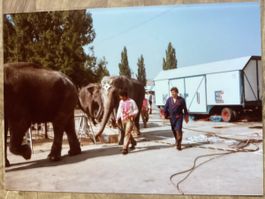 Circus Knie Foto 1983